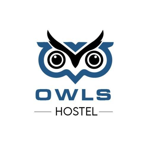 Owls Hostel Ildefonso Порту Экстерьер фото